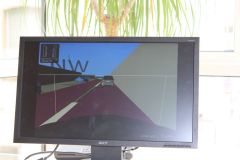 Virtual trial